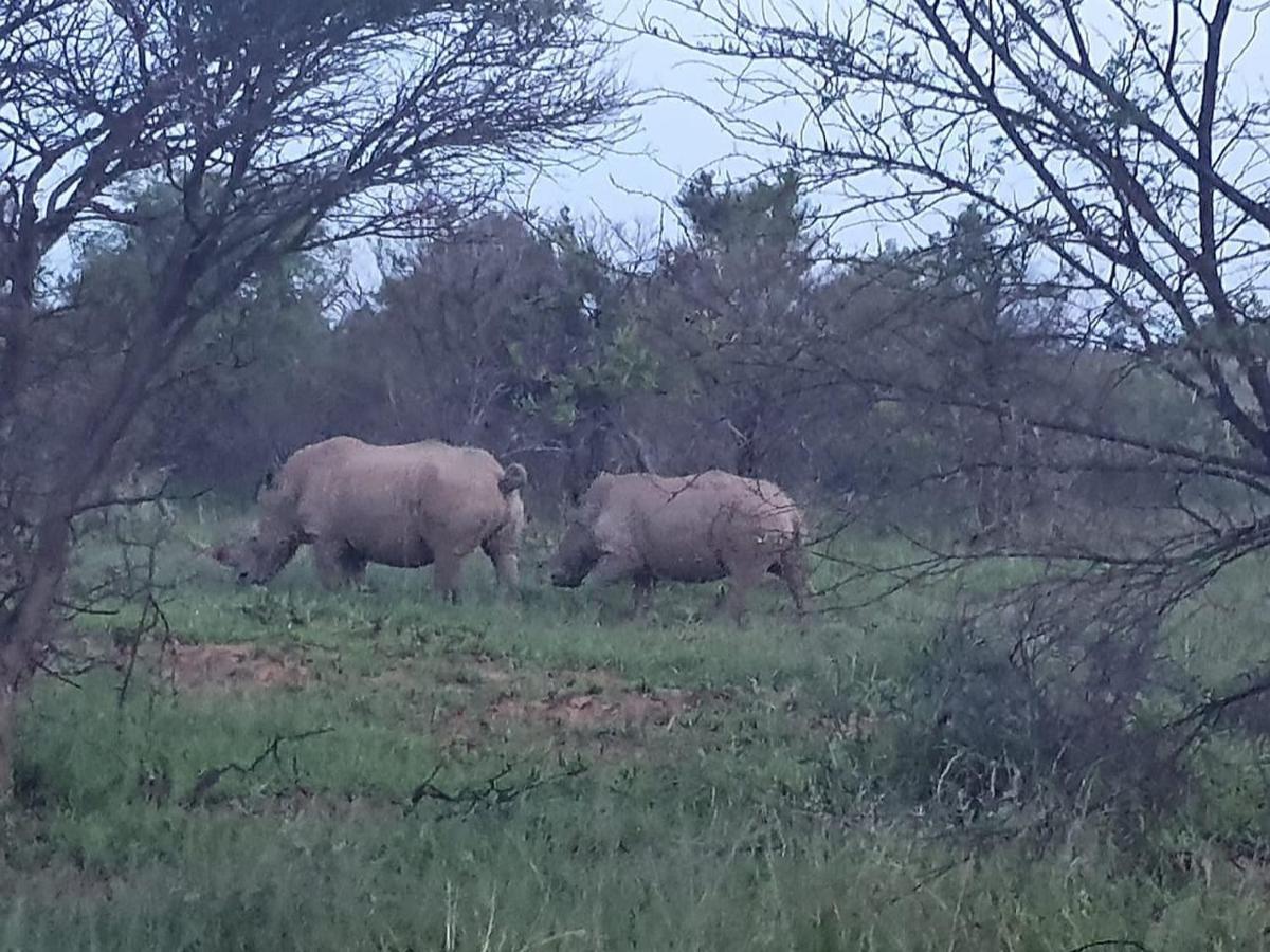 636 Itaga Safari Lodge, Mabalingwe Nature Reserve Mabula Game Reserve Exteriör bild